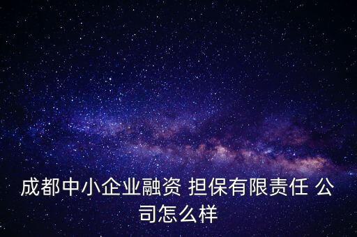 成都中小企業(yè)融資 擔(dān)保有限責(zé)任 公司怎么樣