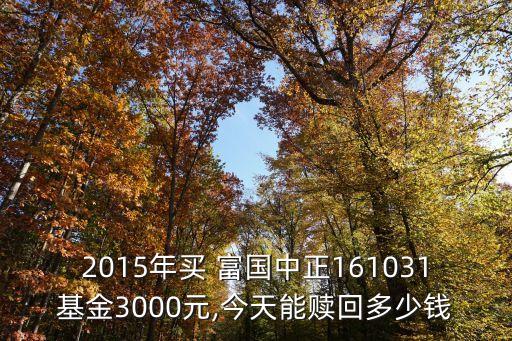 2015年買 富國中正161031基金3000元,今天能贖回多少錢