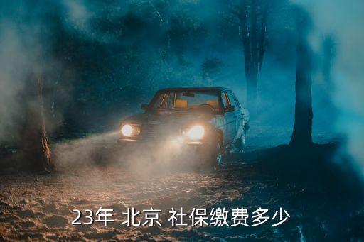 23年 北京 社保繳費(fèi)多少