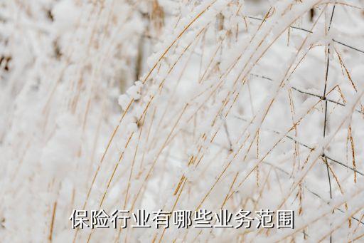 保險行業(yè)有哪些業(yè)務(wù)范圍