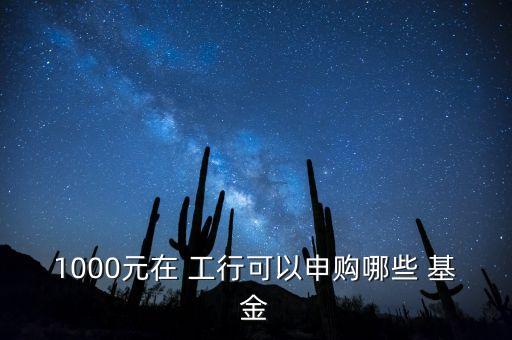 1000元在 工行可以申購(gòu)哪些 基金