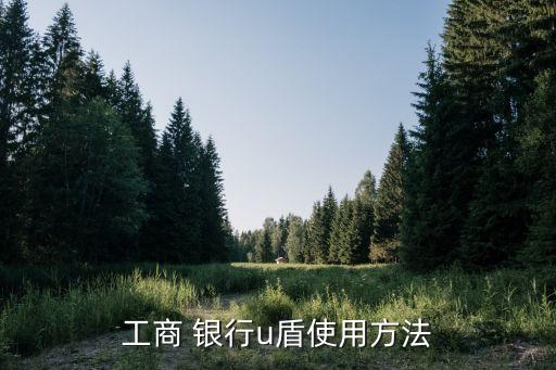 工行網(wǎng)上銀行u盾怎么用,工行企業(yè)網(wǎng)上銀行u盾登錄不了