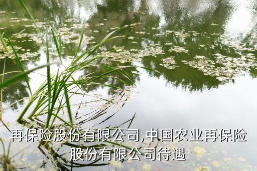 亞太再保險(xiǎn)股份有限公司,中國農(nóng)業(yè)再保險(xiǎn)股份有限公司待遇