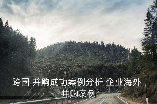 跨國(guó) 并購(gòu)成功案例分析 企業(yè)海外 并購(gòu)案例