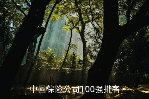 中國保險公司100強排名