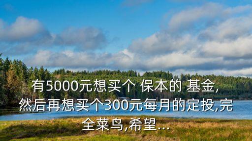 有5000元想買(mǎi)個(gè) 保本的 基金,然后再想買(mǎi)個(gè)300元每月的定投,完全菜鳥(niǎo),希望...