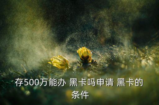 存500萬能辦 黑卡嗎申請 黑卡的 條件