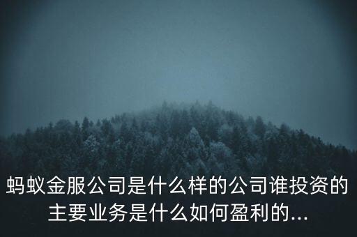 螞蟻金服公司是什么樣的公司誰投資的主要業(yè)務(wù)是什么如何盈利的...