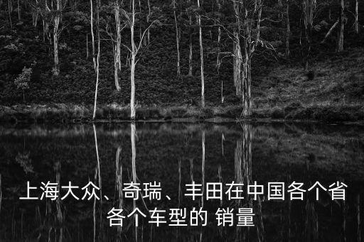  上海大眾、奇瑞、豐田在中國各個(gè)省各個(gè)車型的 銷量