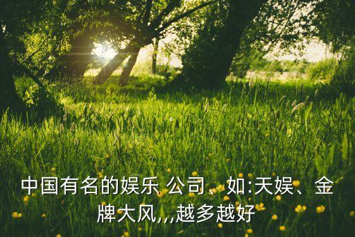 中國有名的娛樂 公司、如:天娛、金牌大風(fēng),,,越多越好