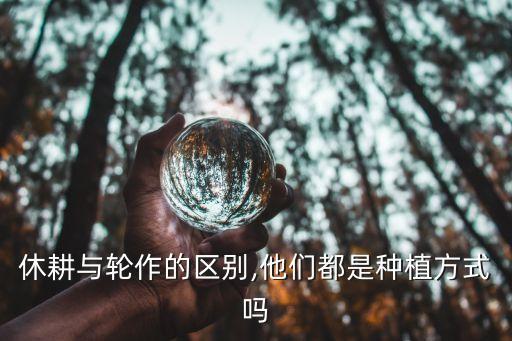 中國的土地為什么不休耕,土地為什么要翻耕