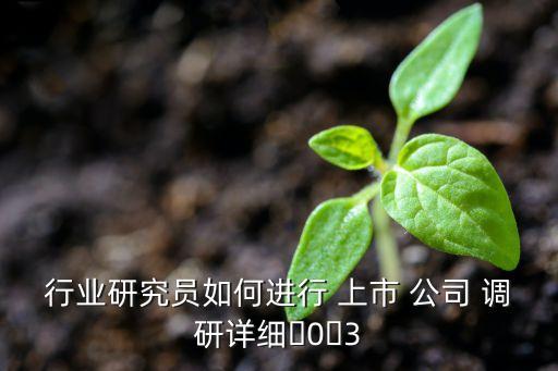 行業(yè)研究員如何進行 上市 公司 調(diào)研詳細?0?3