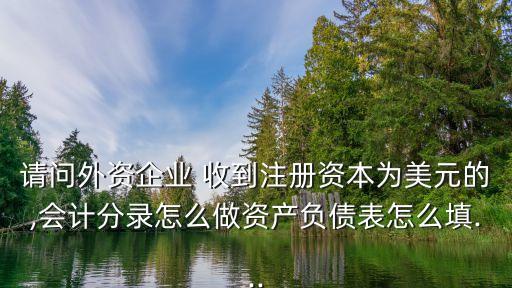 請(qǐng)問外資企業(yè) 收到注冊(cè)資本為美元的,會(huì)計(jì)分錄怎么做資產(chǎn)負(fù)債表怎么填...