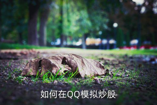 qq股票怎么用,原始股票怎么買(mǎi)