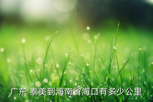 廣東 泰美到海南省海口有多少公里