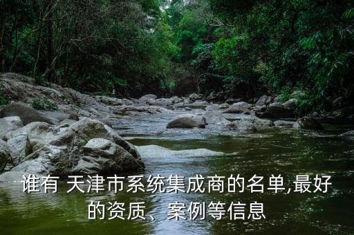 誰有 天津市系統(tǒng)集成商的名單,最好的資質(zhì)、案例等信息