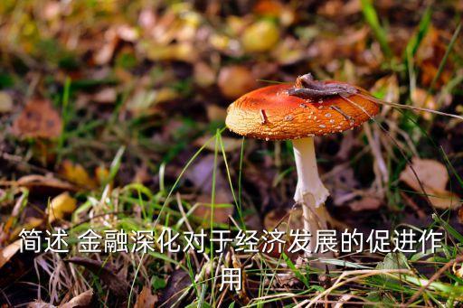 簡述 金融深化對于經(jīng)濟發(fā)展的促進作用