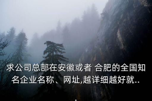 求公司總部在安徽或者 合肥的全國知名企業(yè)名稱、網(wǎng)址,越詳細(xì)越好就...