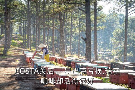 COSTA關(guān)店、 星巴克虧損,瑞幸咖啡卻活得很好