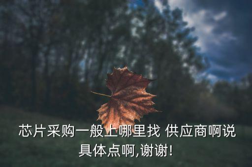  芯片采購一般上哪里找 供應(yīng)商啊說具體點(diǎn)啊,謝謝!