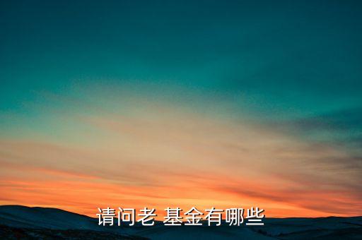 長(zhǎng)盛量化紅利基金凈值,080005長(zhǎng)盛量化紅利這幾天跌