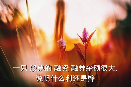 一只 股票的 融資 融券余額很大,說明什么利還是弊