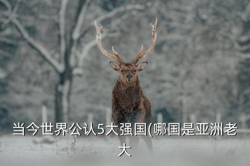 當(dāng)今世界公認5大強國(哪國是亞洲老大