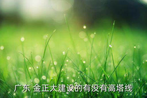 廣東 金正大建設的有沒有高塔線