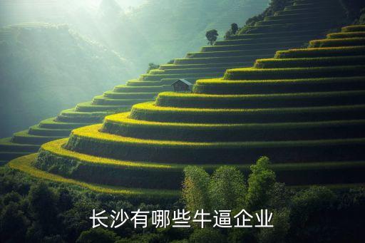 長(zhǎng)沙有哪些牛逼企業(yè)