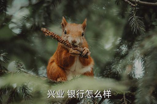  興業(yè) 銀行怎么樣