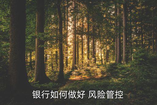 銀行如何做好 風(fēng)險管控