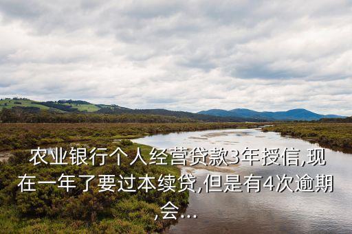  農(nóng)業(yè)銀行個(gè)人經(jīng)營(yíng)貸款3年授信,現(xiàn)在一年了要過本續(xù)貸,但是有4次逾期,會(huì)...