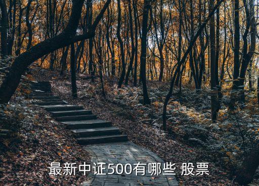 最新中證500有哪些 股票