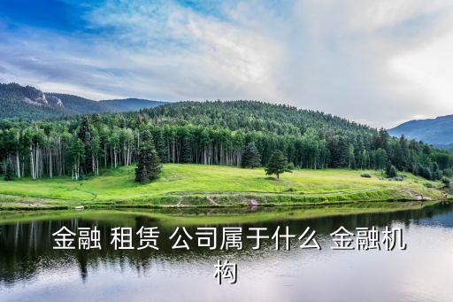  金融 租賃 公司屬于什么 金融機(jī)構(gòu)