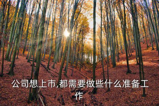  公司想上市,都需要做些什么準(zhǔn)備工作