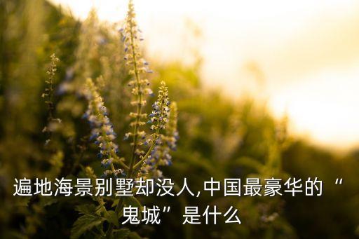 遍地海景別墅卻沒人,中國最豪華的“ 鬼城”是什么