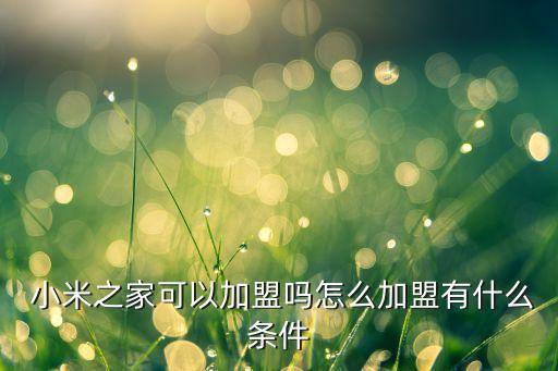  小米之家可以加盟嗎怎么加盟有什么條件