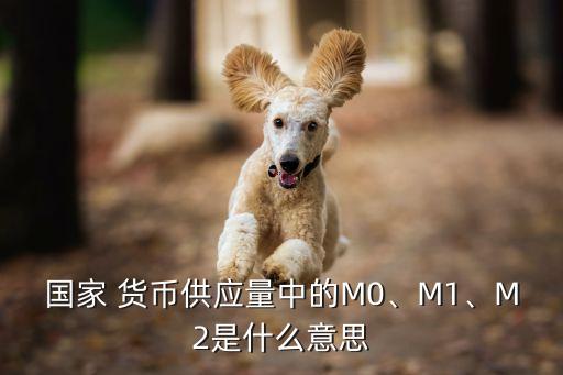 國家 貨幣供應量中的M0、M1、M2是什么意思