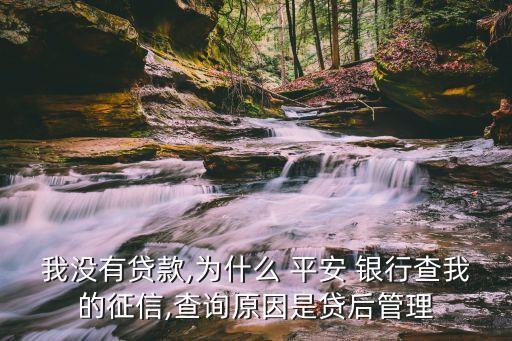 我沒(méi)有貸款,為什么 平安 銀行查我的征信,查詢?cè)蚴琴J后管理