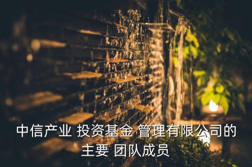 中信產(chǎn)業(yè) 投資基金 管理有限公司的主要 團(tuán)隊(duì)成員