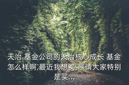 天治 基金公司的天治核心成長 基金怎么樣啊,最近我想買,懇請大家特別是買...