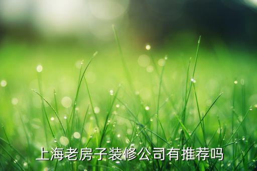  上海老房子裝修公司有推薦嗎