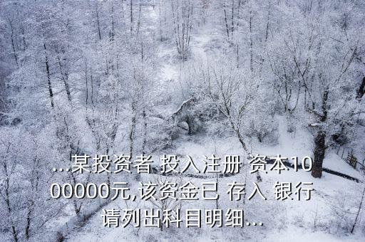 ...某投資者 投入注冊 資本1000000元,該資金已 存入 銀行請列出科目明細...