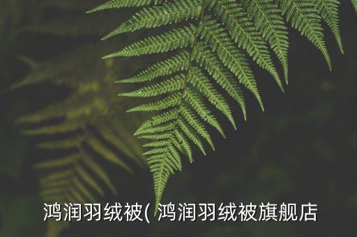 安徽鴻潤集團破產(chǎn)了嗎,安徽慶發(fā)集團破產(chǎn)最新消息