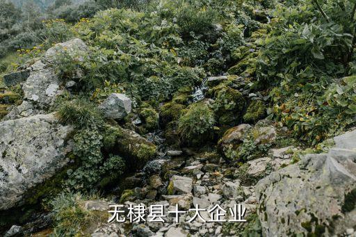 魯北無棣鑫岳化工有限公司,山東無棣鑫岳化工有限公司官方網(wǎng)站