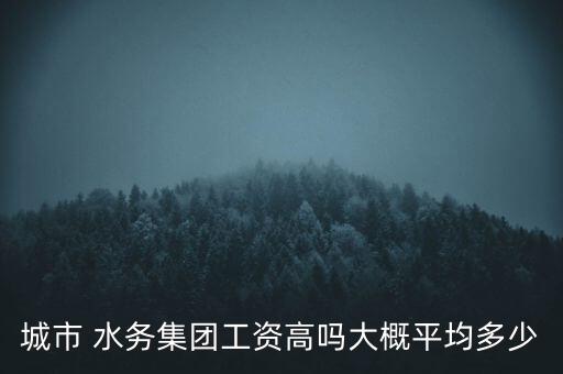 咸陽(yáng)市水務(wù)集團(tuán)特許經(jīng)營(yíng)合同