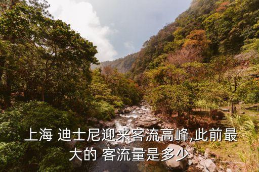  上海 迪士尼迎來客流高峰,此前最大的 客流量是多少