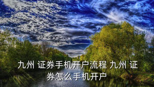 九州證券子公司,九州光電子公司