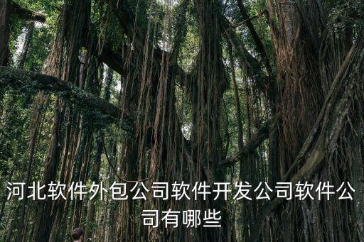 河北軟件外包公司軟件開發(fā)公司軟件公司有哪些