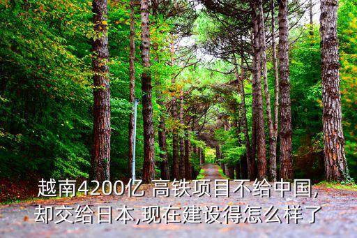 越南4200億 高鐵項目不給中國,卻交給日本,現(xiàn)在建設(shè)得怎么樣了